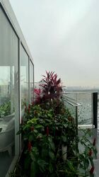 Cyan (D10), Condominium #449546021